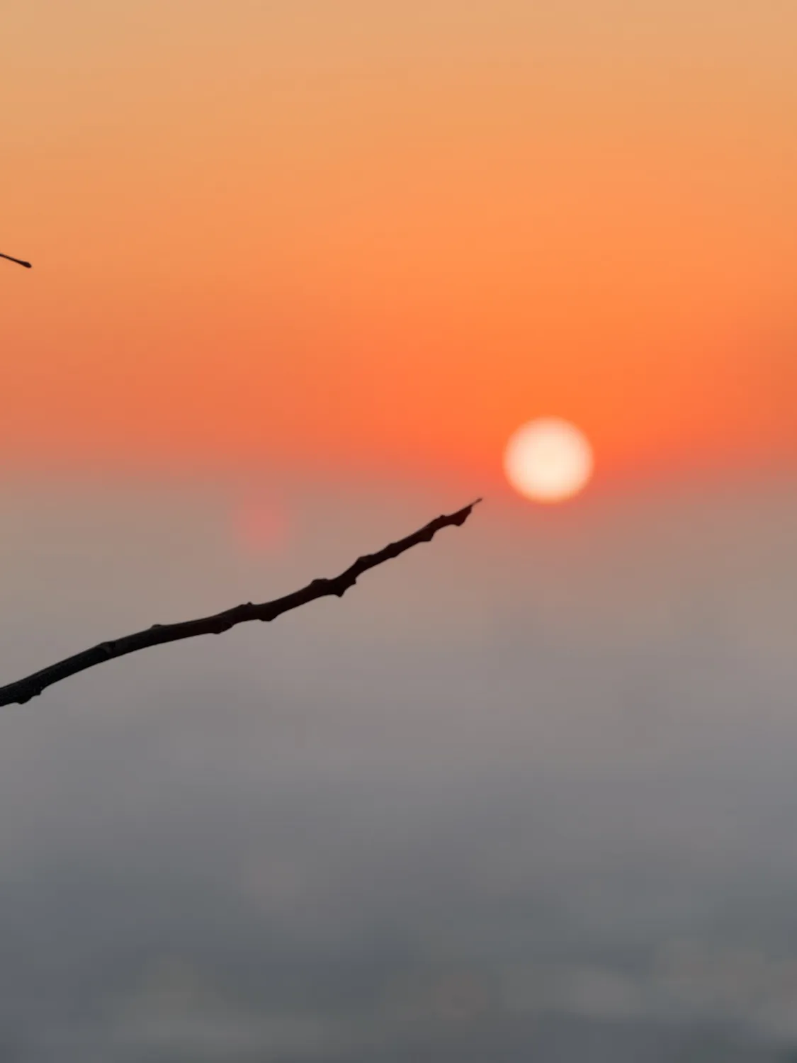 第一缕