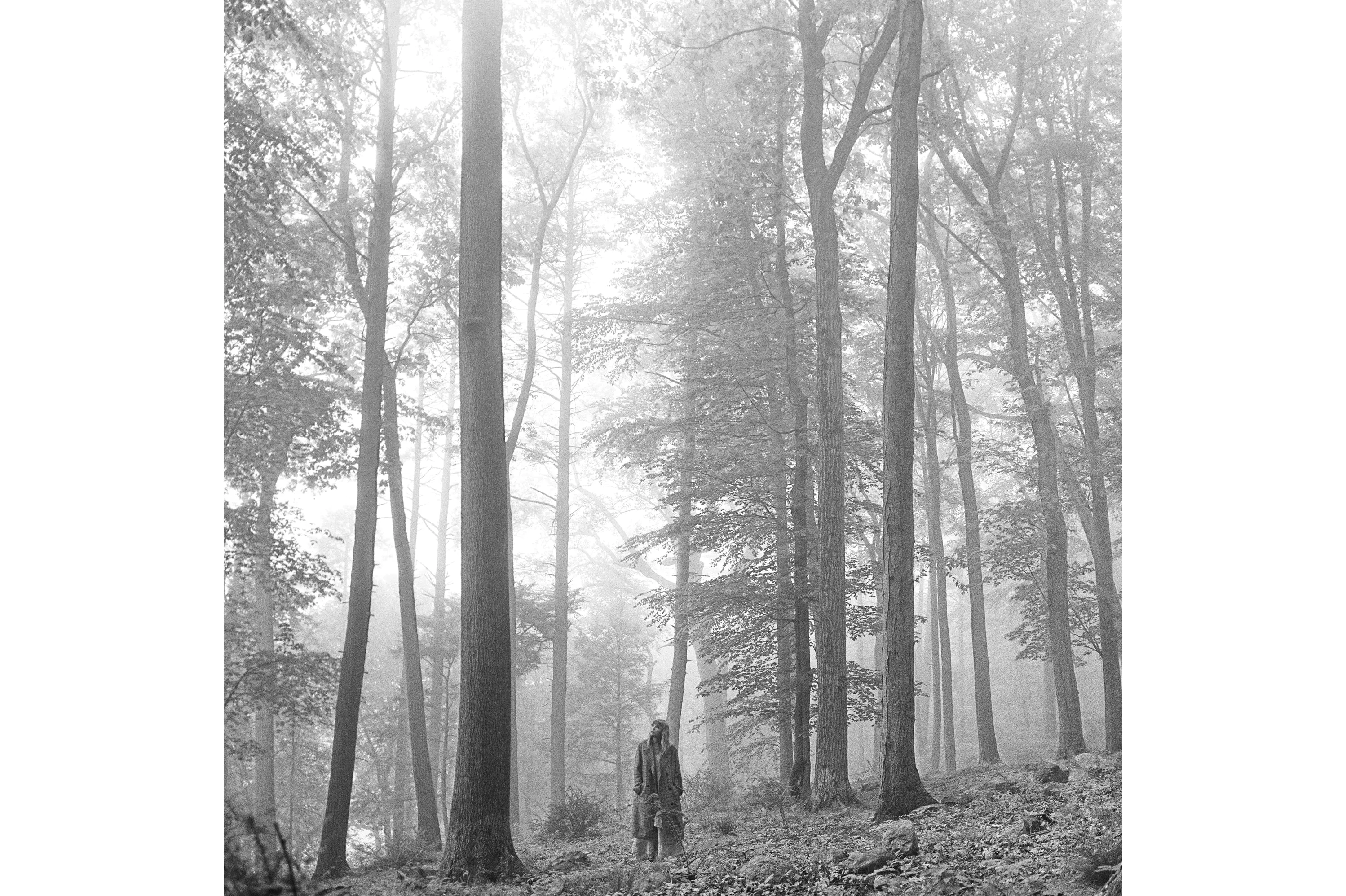 august - Taylor Swift