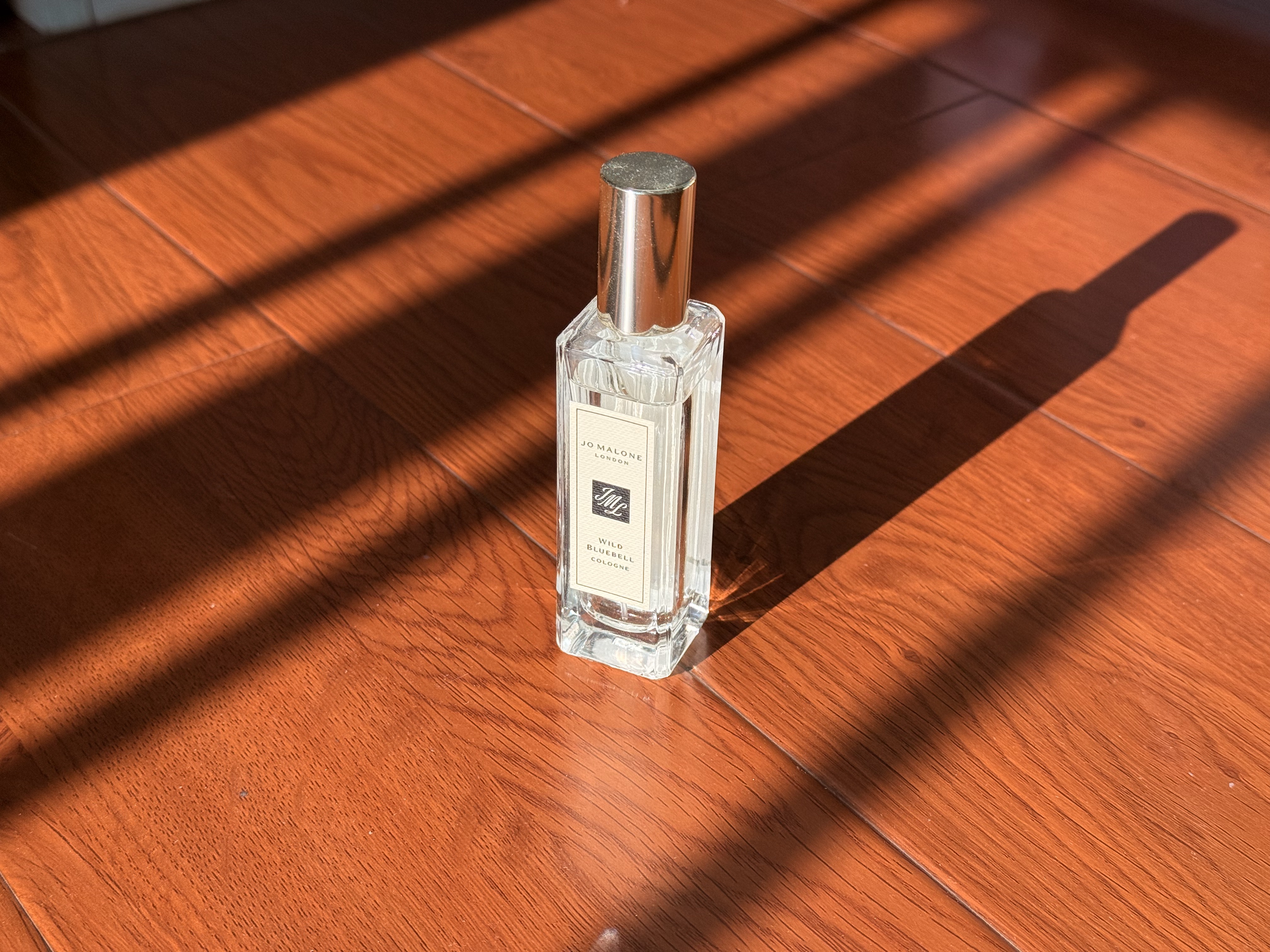 Wild Bluebell 氛围